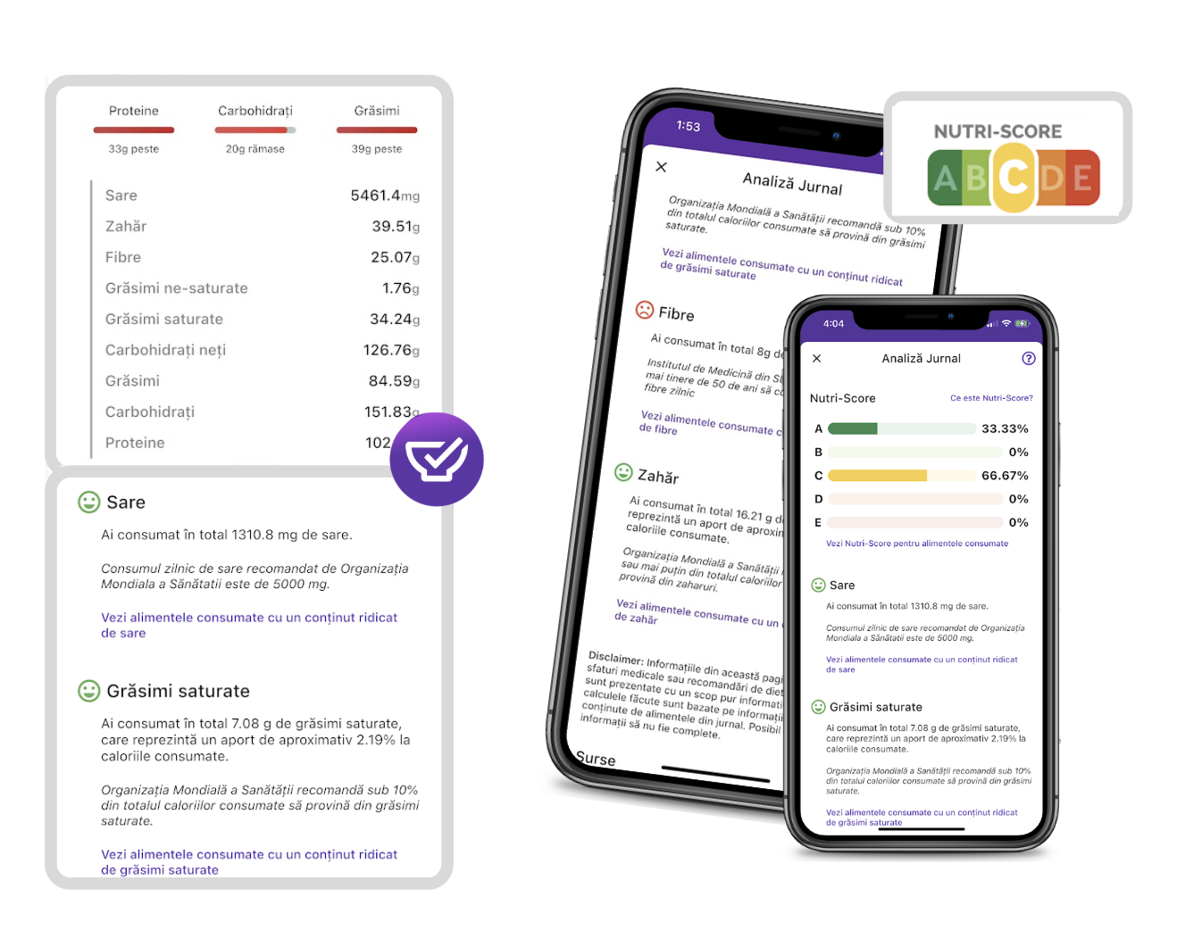 Analiza Jurnalului .png